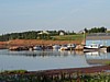 DSC07110.jpg