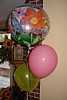 01-DSC09373.jpg