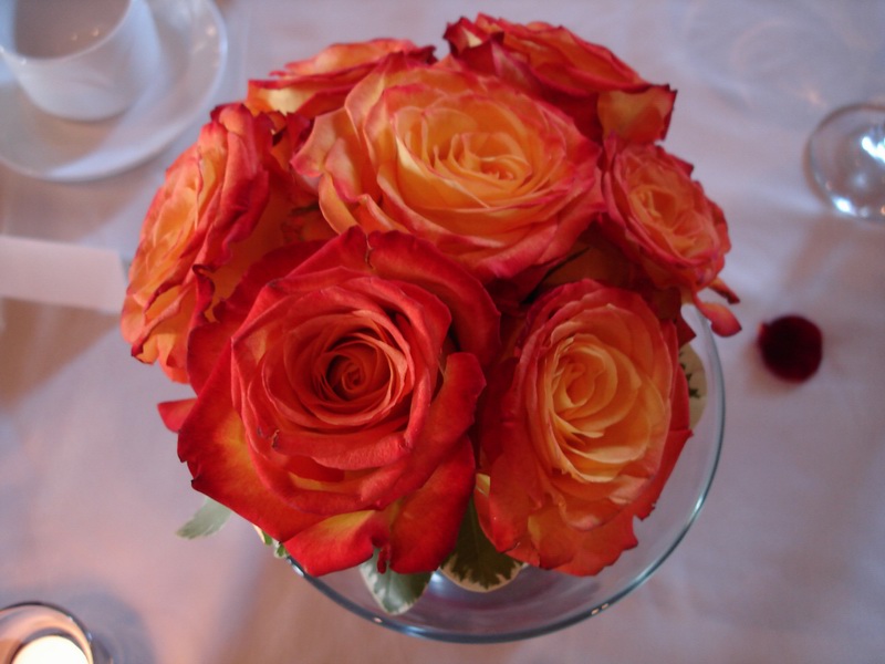 DSC07828.jpg