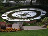 DSC07645.jpg
