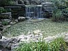 DSC07646.jpg