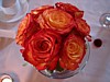 DSC07828.jpg