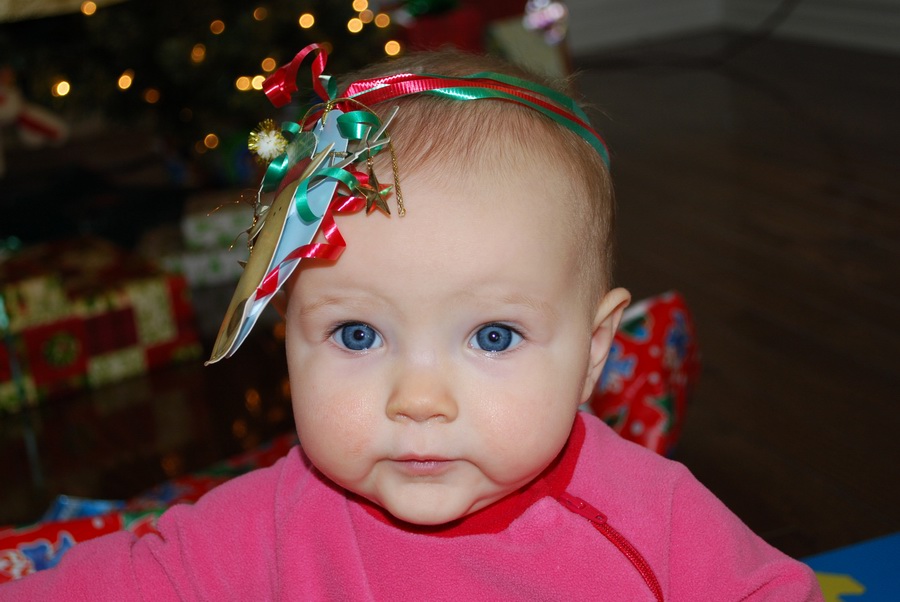 12DSC_1584.jpg