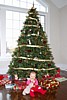 08DSC_1572.jpg