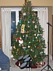 45IMG_2947.jpg