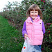 Apple Picking at Mountain Orchard