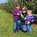 Mountain Apple Orchard